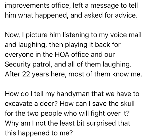 Facebook post continued: improvements office, left a message to tell him what happened, and asked for advice. Now, I picture him listening to my voice mail and laughing, then playing it back for everyone in the HOA office andour Security patrol, and all of them laughing. After 22 years here, most of them know me. How do I tell my handyman that we have to excavate a deer? How can I save the skull for the two people who will fight over it? Why am I not the least bit surprised that this happened to me?